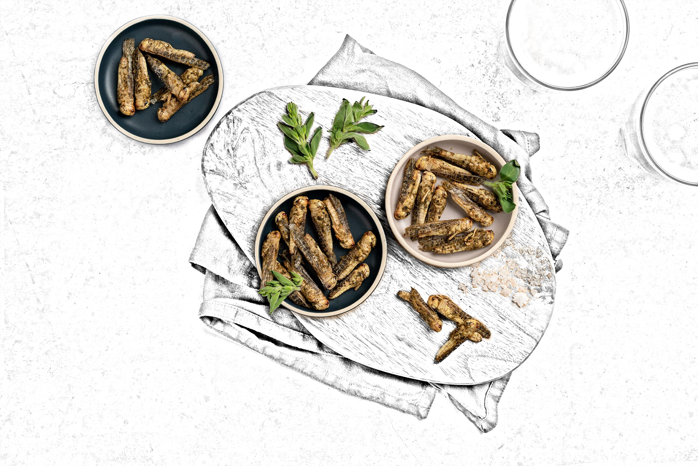 スイスの昆虫食 普及への道のりはまだ遠い Swi Swissinfo Ch スイスの昆虫食 普及への道のりはまだ遠い Swi Swissinfo Ch