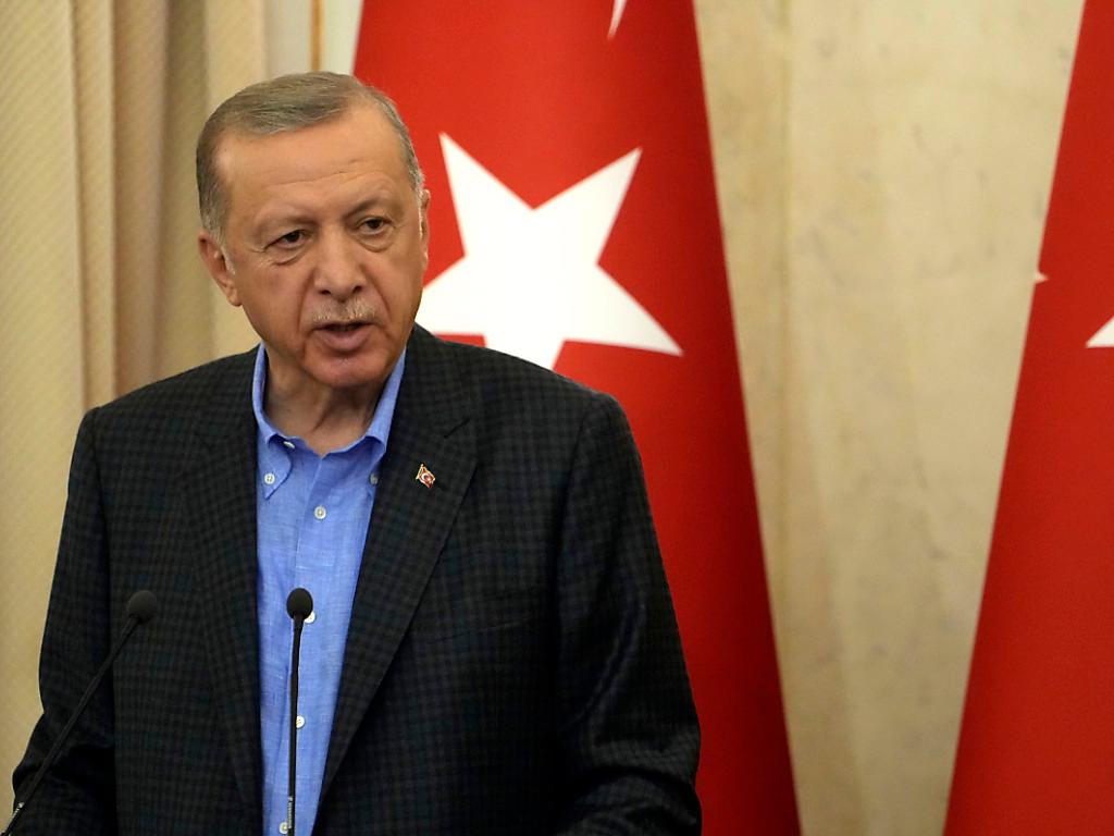 Erdogan minaccia veto a ingresso Svezia e Finlandia a Nato SWI