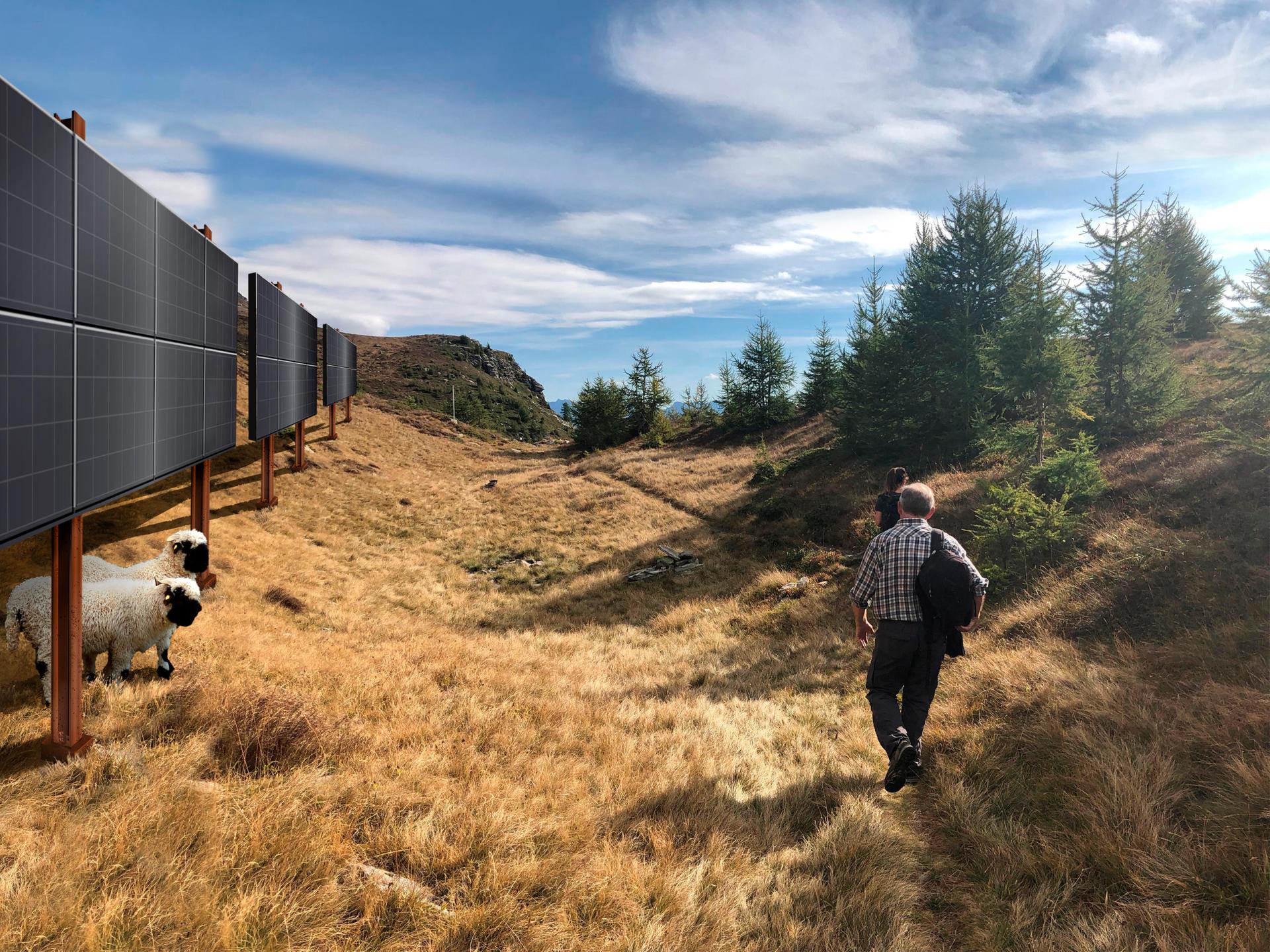 スイスアルプスの太陽光発電所建設 続く反対派との攻防 Swi Swissinfo Ch