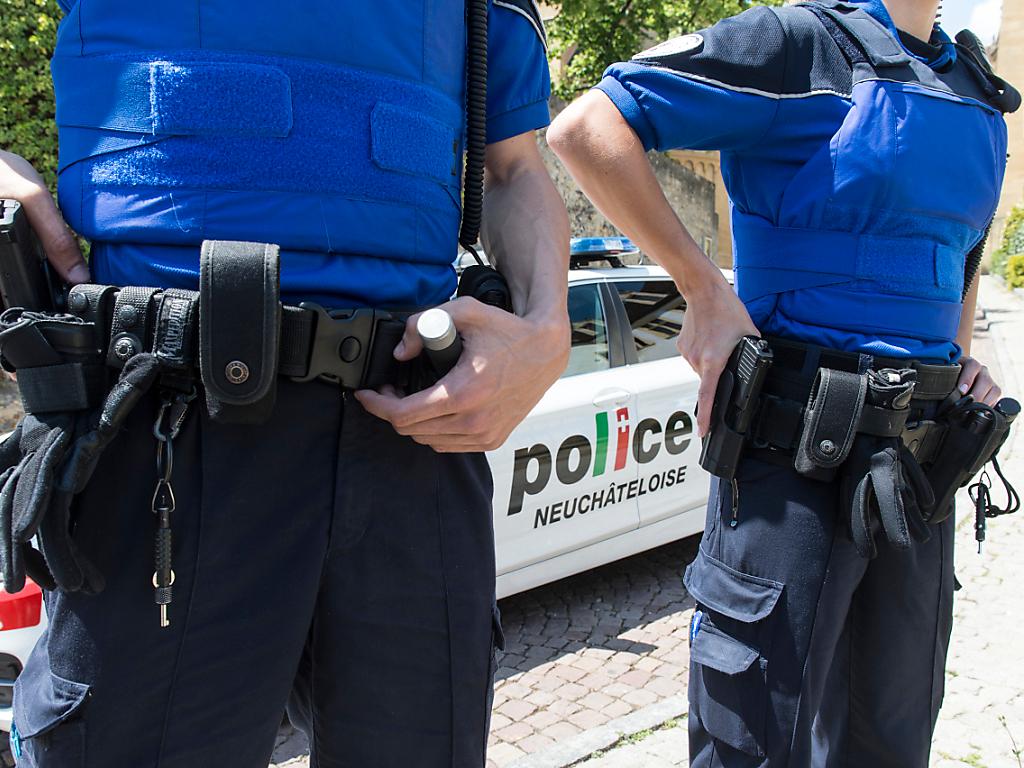Französische Polizei nimmt Vater von entführten Zwillingen fest SWI swissinfo.ch
