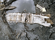 先史時代の道具が融けた氷河から出土 Swi Swissinfo Ch