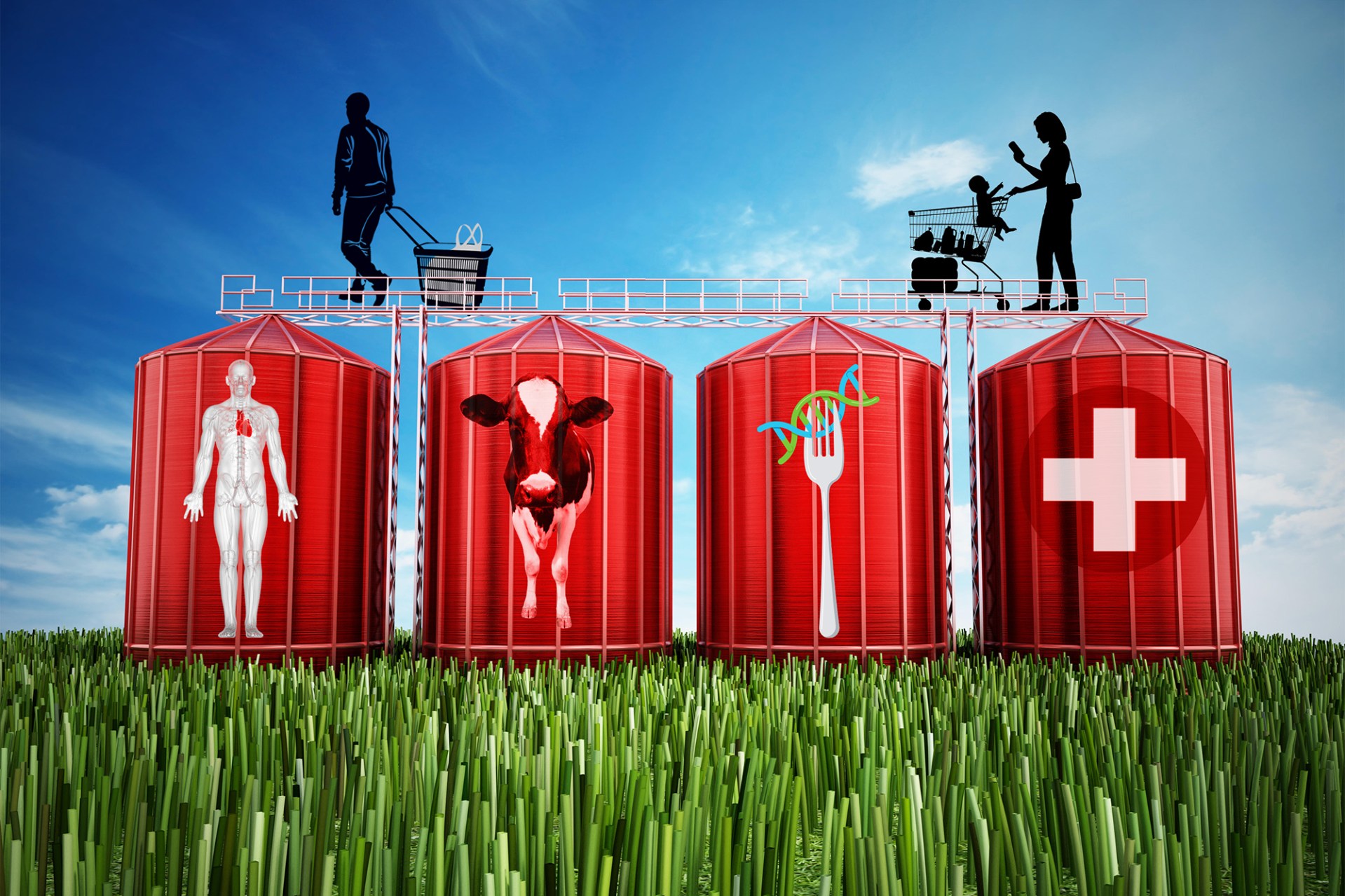 Toxic cocoa beans how much cadmium is in your chocolate? deleciousfood