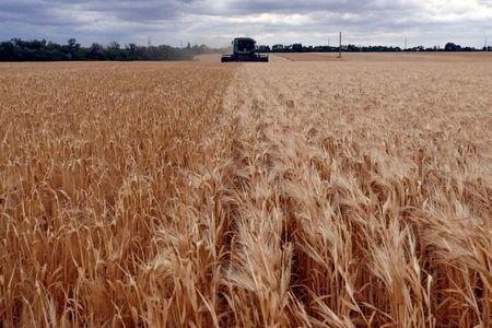 UN says ideas 'floated' on how to get Ukraine, Russia grain to world - Vimarsana News