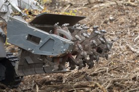 D-250 Bagger