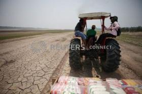 El Niño continuará até meados de 2024, ameaçando a agricultura