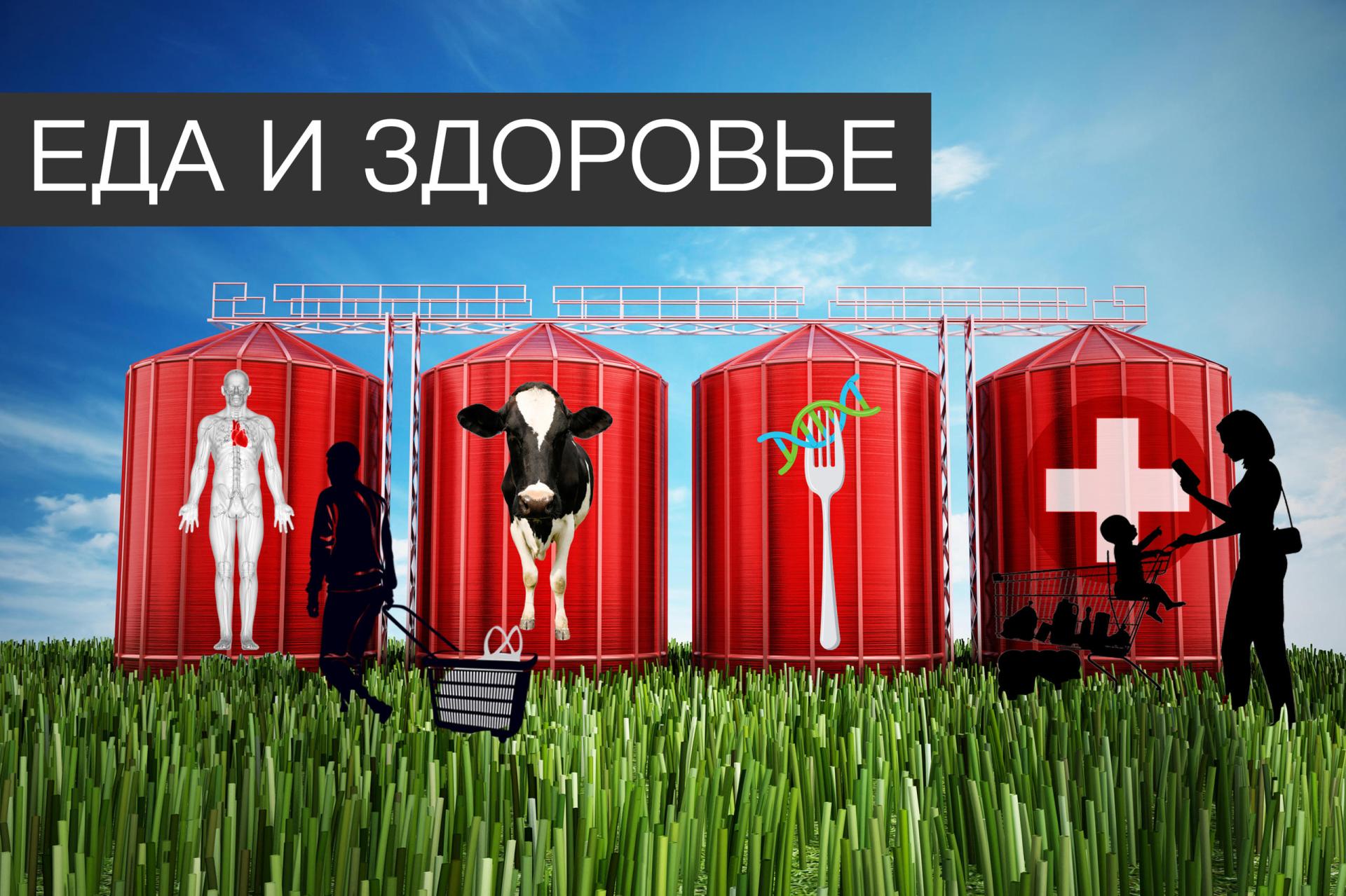 Почему продукты питания в Швейцарии (почти) не дорожают? - SWI swissinfo.ch