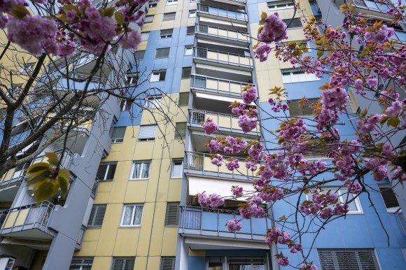 apartment with colourful tree