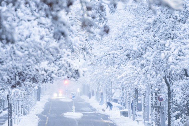 Snowstorm in Tokyo disrupts road, rail and air transport